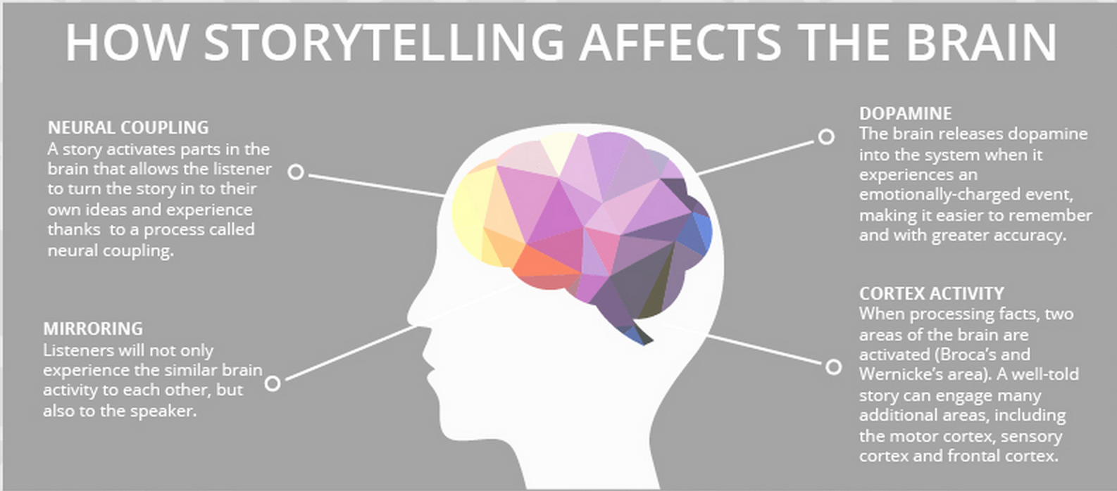 The Science of Storytelling Visually Explained - Educators Technology