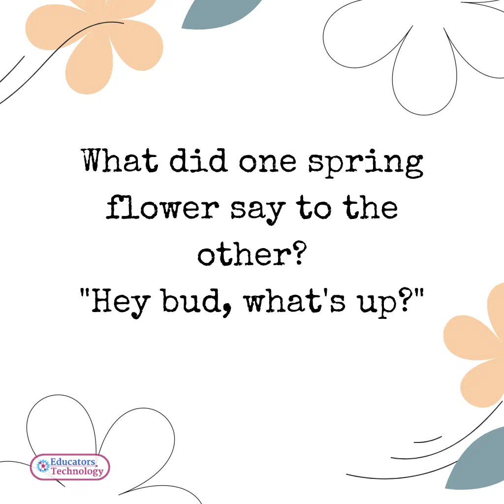 Spring Jokes