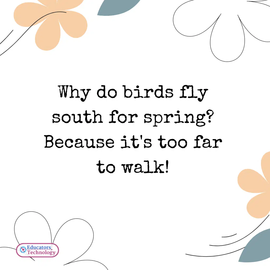 Spring Jokes
