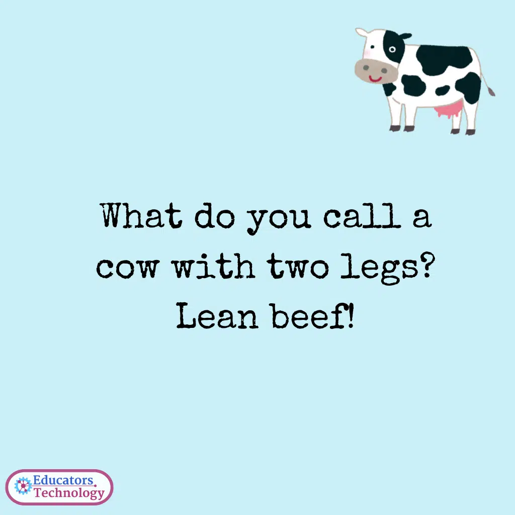 Animal Jokes for Kids