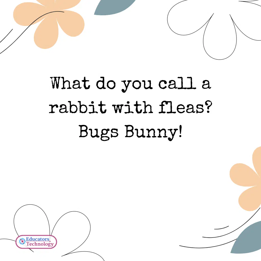Spring Jokes