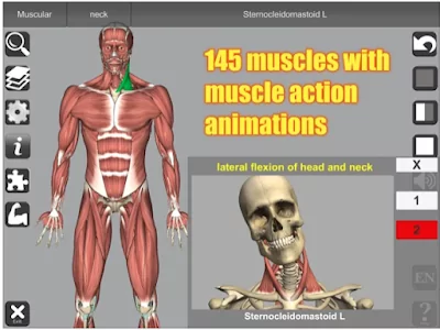 3D Anatomy app