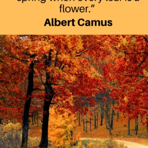 Fall quotes
